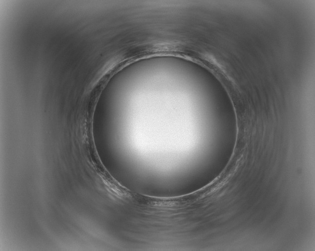 X0000064731211200602101141