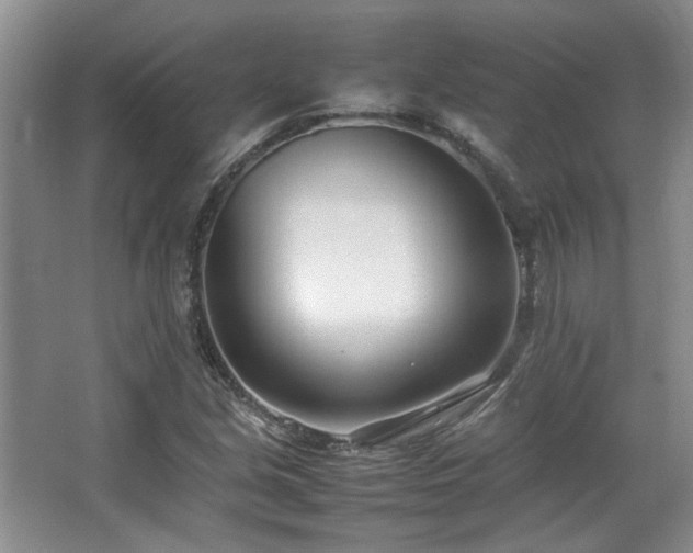 X0000064731213200602101141
