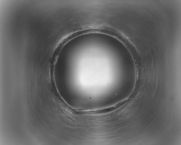 X0000064731214200602101141