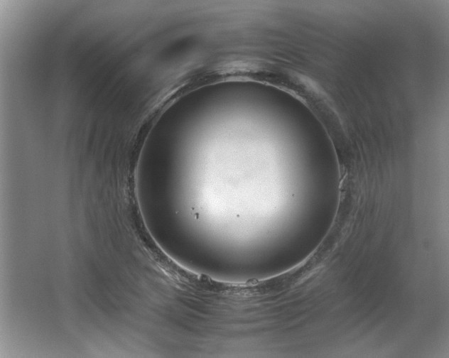 X0000064731217200602101141