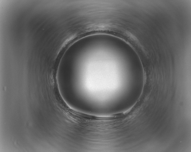 X0000064731218200602101141