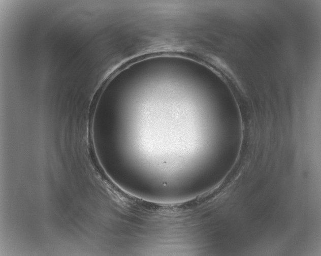 X0000064731220200602101141
