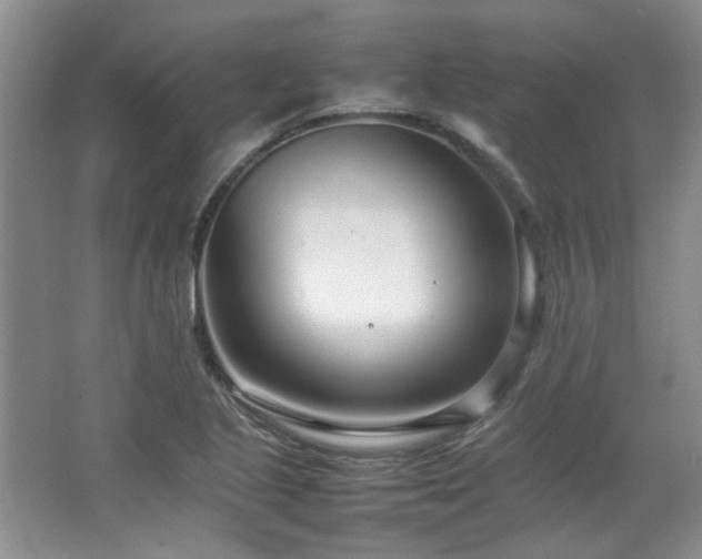 X0000064731221200602101141