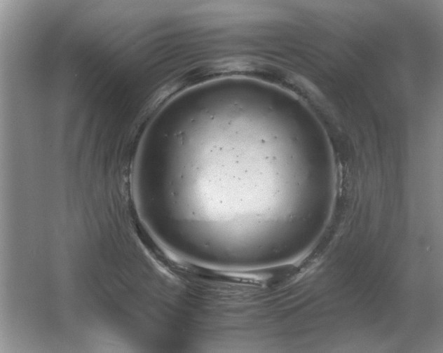 X0000064731225200602101141