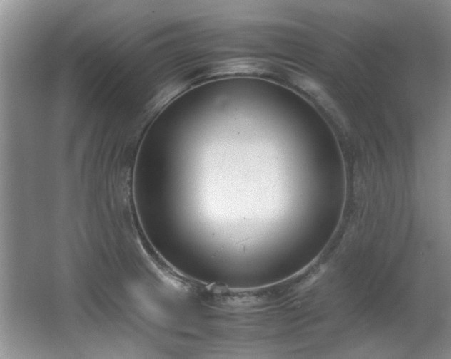 X0000064731233200602101141