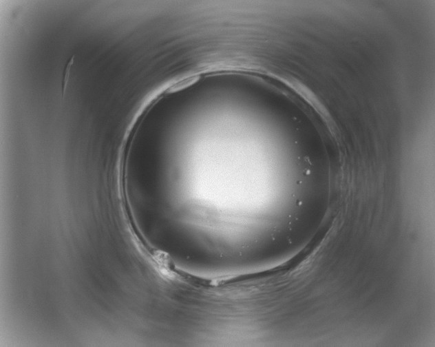 X0000064731246200602101141