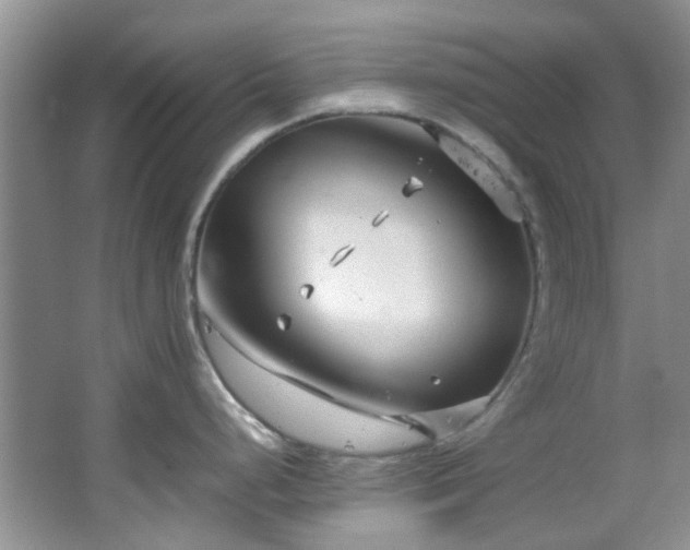 X0000064731248200602101142