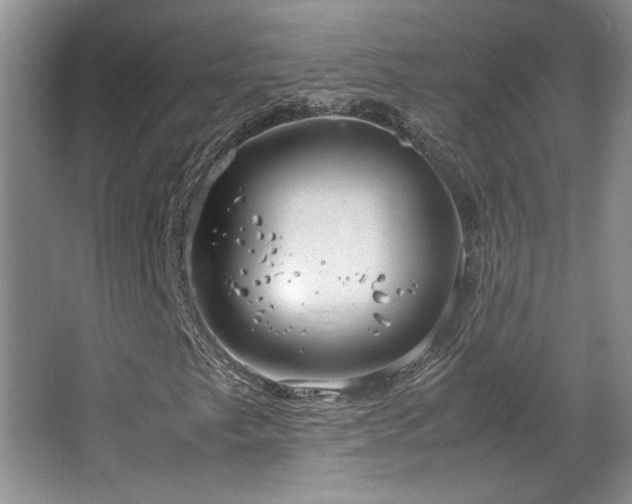 X0000064731249200602101141