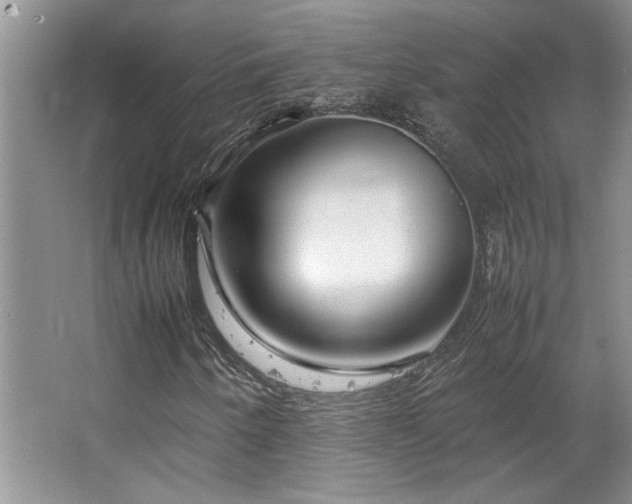 X0000064731250200602101141