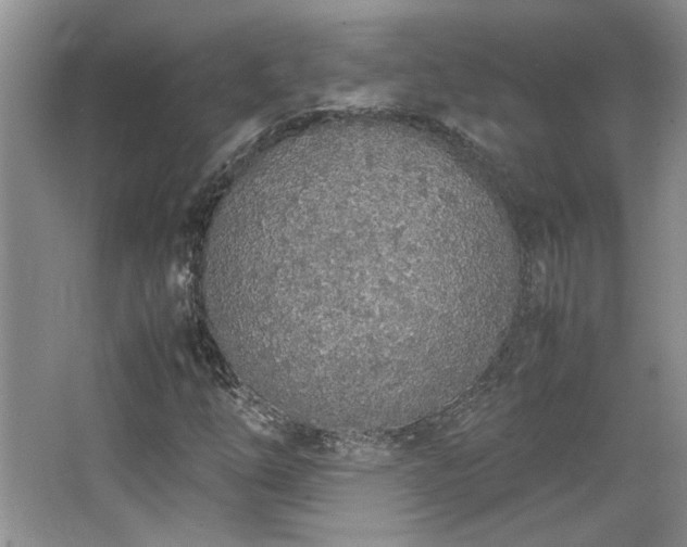 X0000064731254200602101141