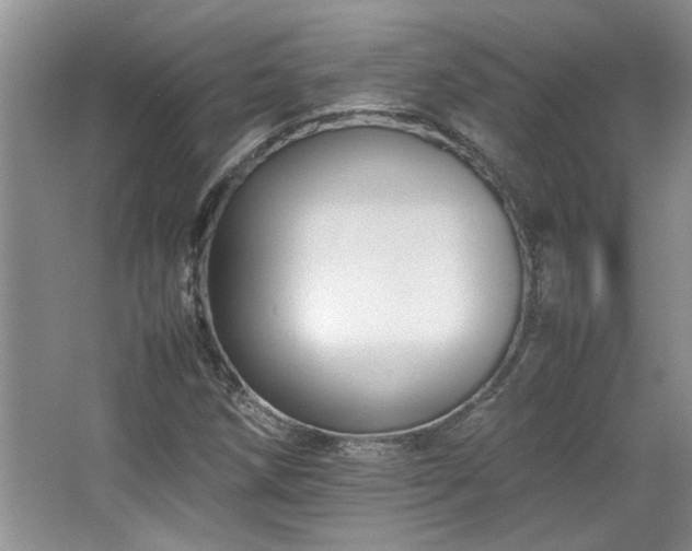 X0000064731258200602101141