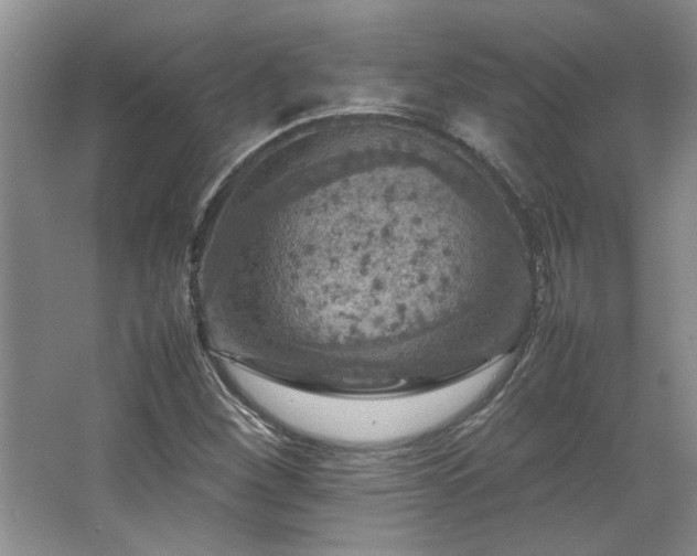 X0000064731260200602101141