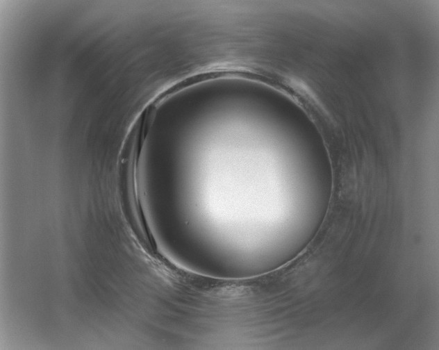 X0000064731268200602101140