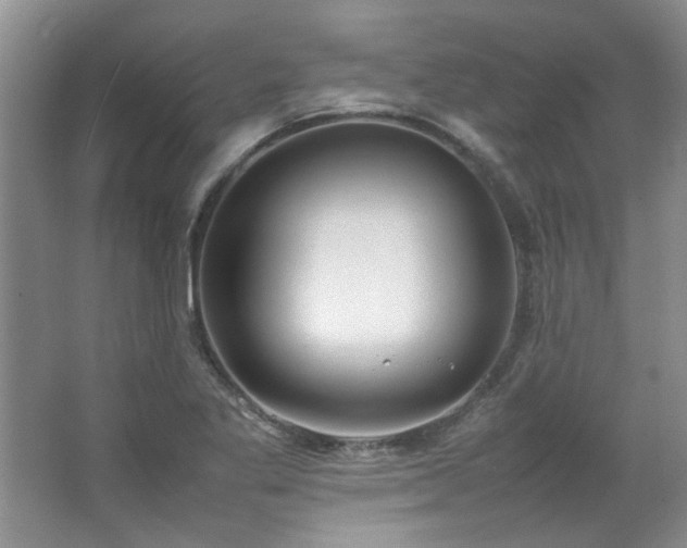 X0000064731269200602101140