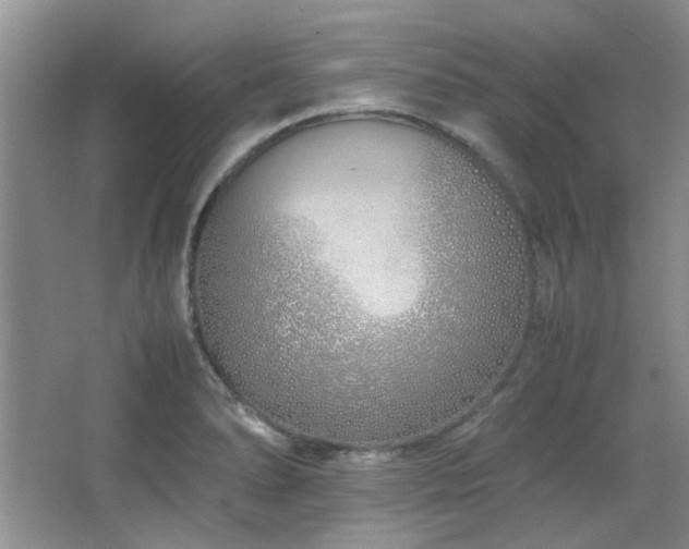 X0000064731278200602101140