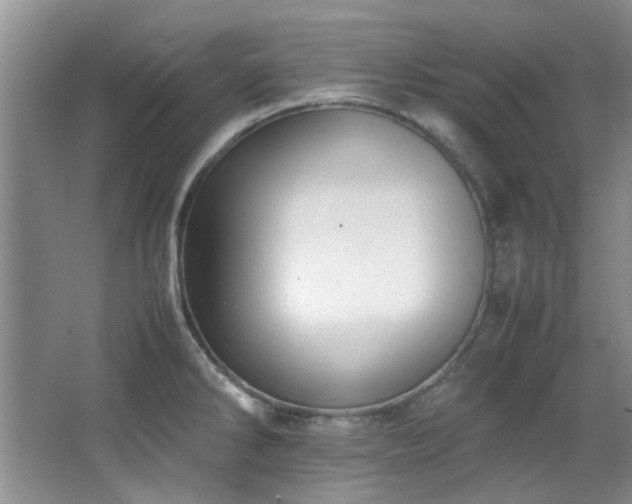 X0000064731286200602101140