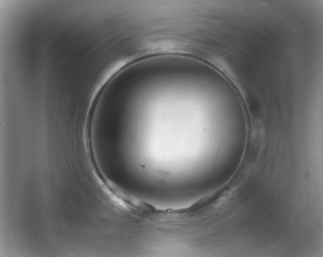X0000064731293200602101140