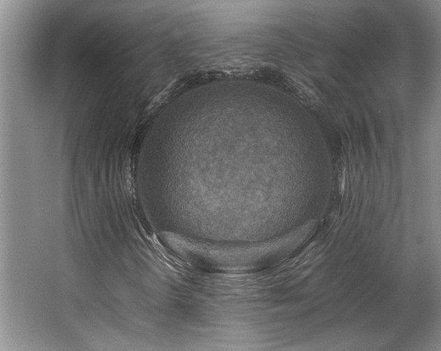 X0000064731298200602101139