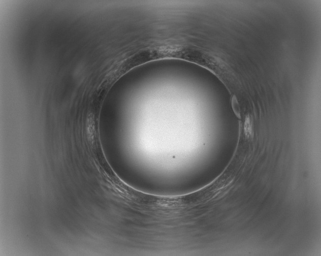 X0000064731299200602101139