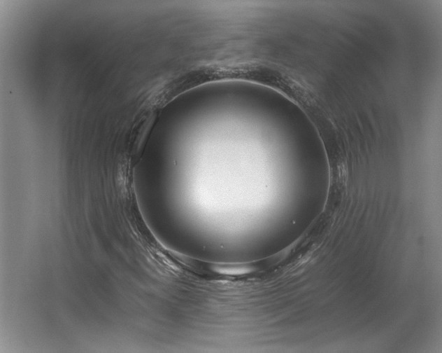 X0000064731300200602101139