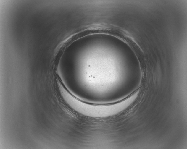 X0000064731304200602101139