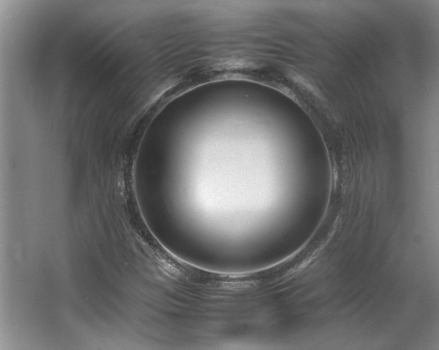 X0000064731305200602101139