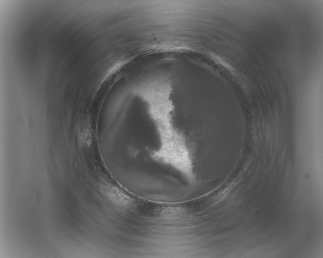 X0000064731306200602101139