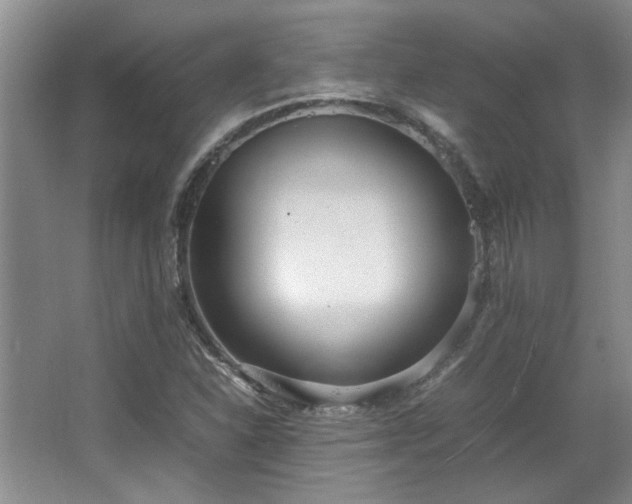 X0000064731310200602101139
