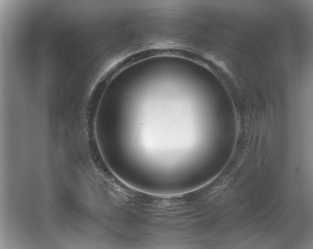X0000064731311200602101139