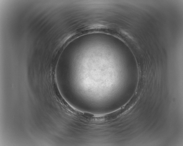 X0000064731313200602101139