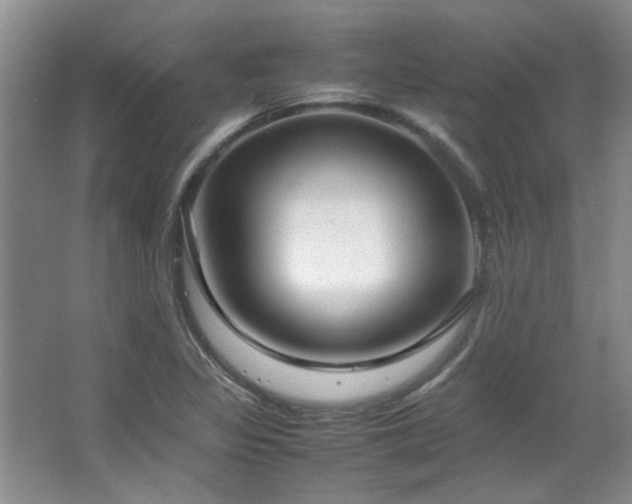 X0000064731317200602101139