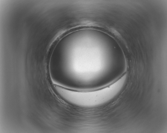 X0000064731318200602101139