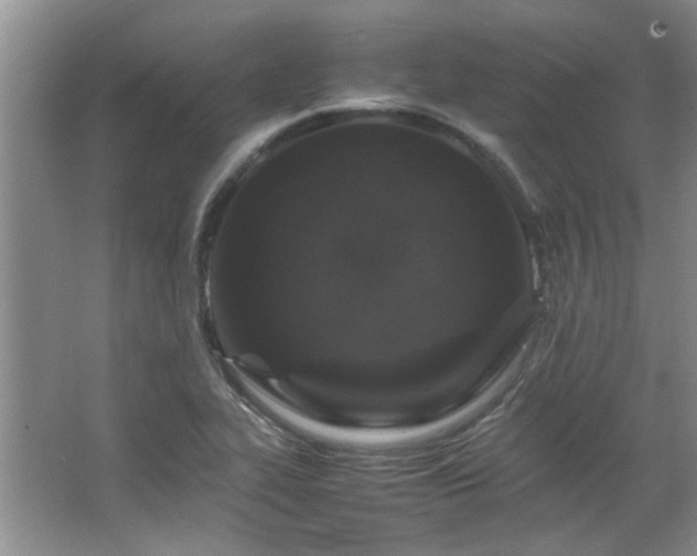 X0000064731319200602101139