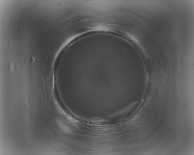 X0000064731323200602101140