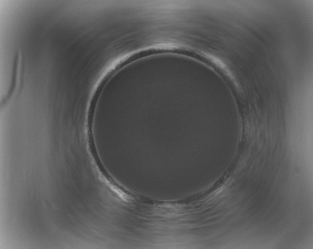 X0000064731327200602101140