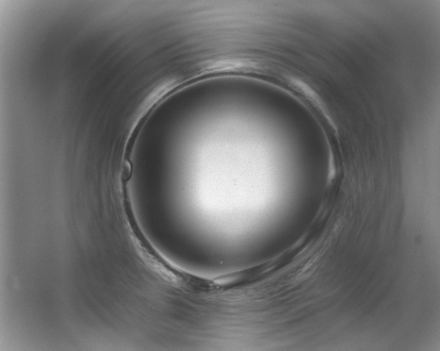 X0000064731330200602101140