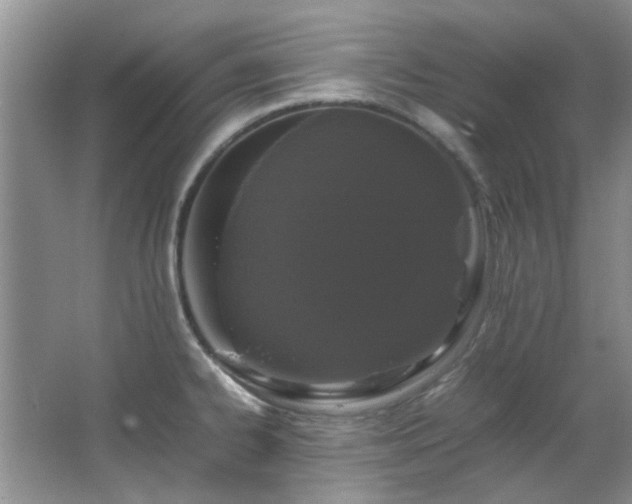 X0000064731334200602101140