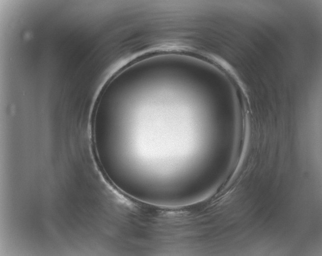 X0000064731335200602101140