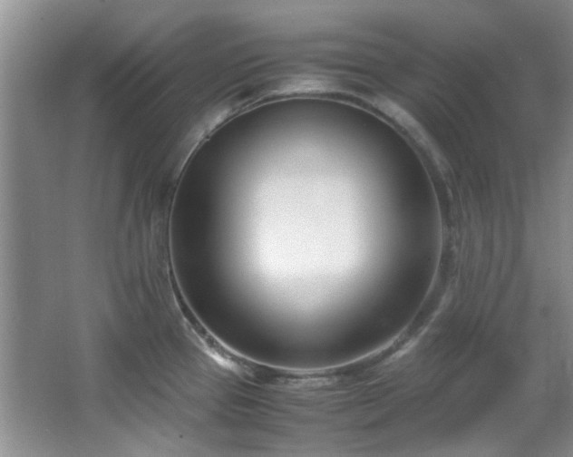 X0000064731337200602101140