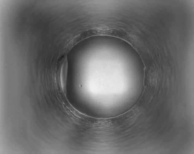 X0000064731346200602101139