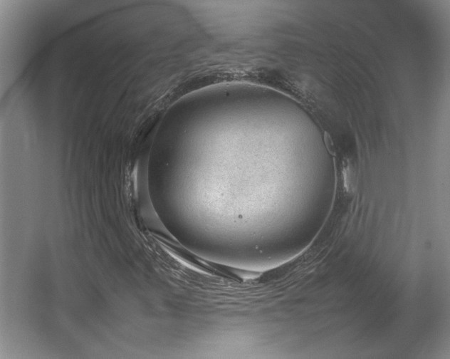 X0000064731347200602101139