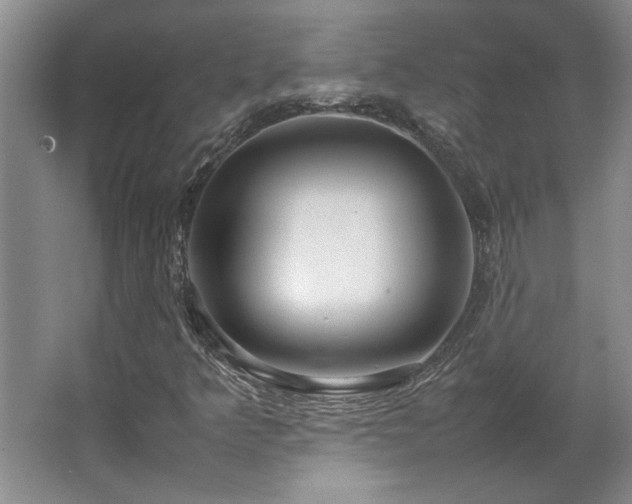 X0000064731349200602101139
