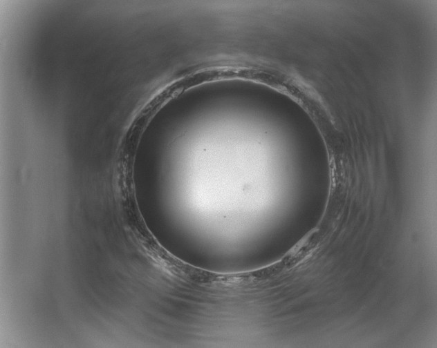 X0000064731352200602101139