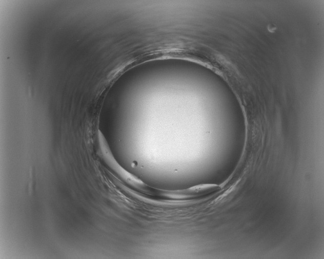 X0000064731353200602101139