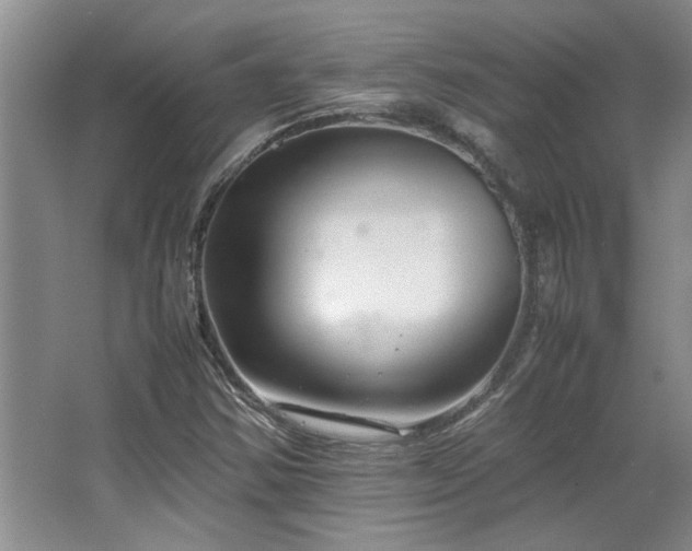 X0000064731354200602101139