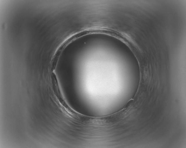 X0000064731356200602101139
