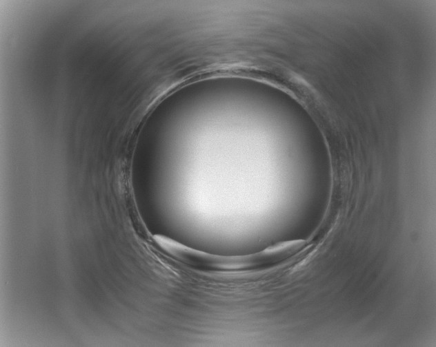 X0000064731361200602101139
