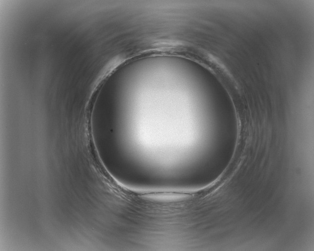 X0000064731362200602101139