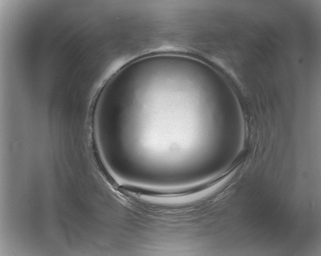 X0000064731367200602101139