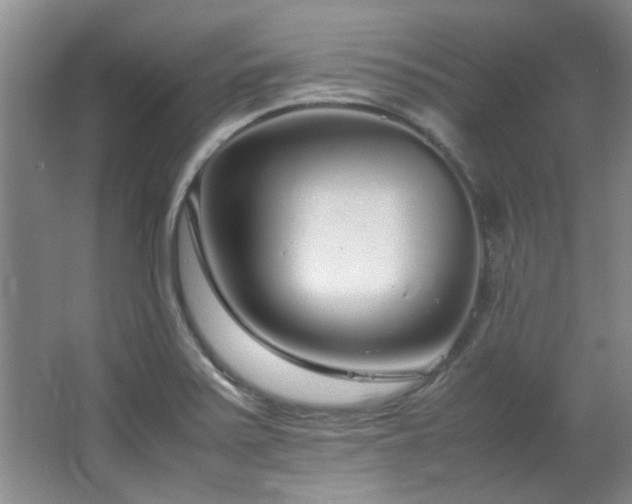 X0000064731371200602101139